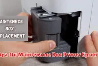 Apa Itu Maintenance Box Printer Epson?
