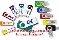 Apakah Printer Bisa Langsung Print dari Flashdisk?