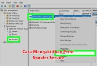 Cara Mengaktifkan Print Spooler Service