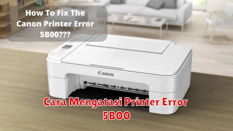 Cara Mengatasi Printer Error 5B00