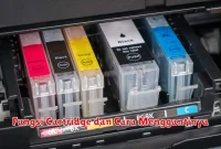 Fungsi Cartridge dan Cara Menggantinya