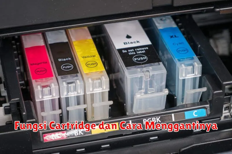 Fungsi Cartridge dan Cara Menggantinya