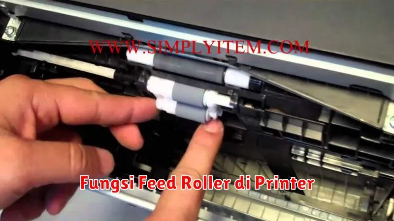 Fungsi Feed Roller di Printer