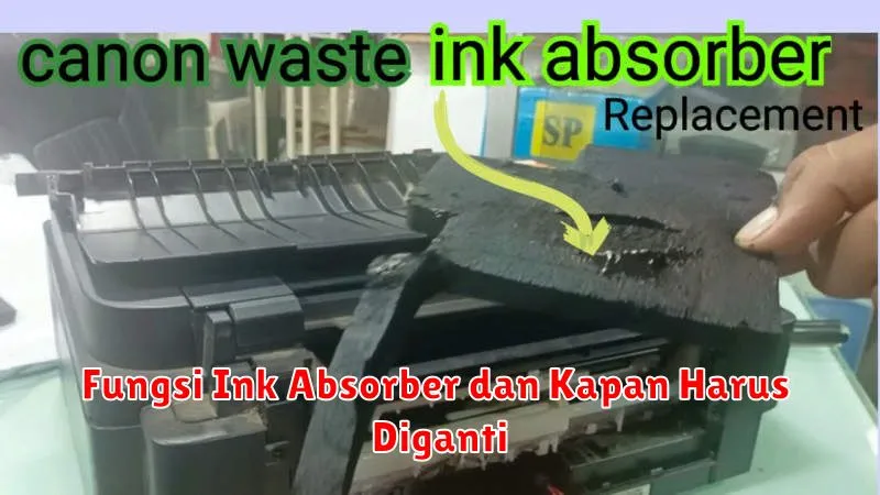 Fungsi Ink Absorber dan Kapan Harus Diganti