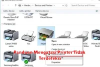 Panduan Mengatasi Printer Tidak Terdeteksi