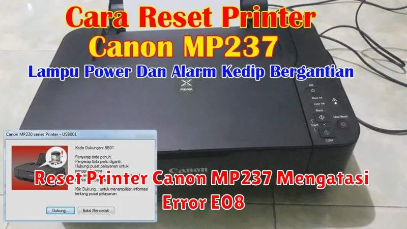 Reset Printer Canon MP237 Mengatasi Error E08