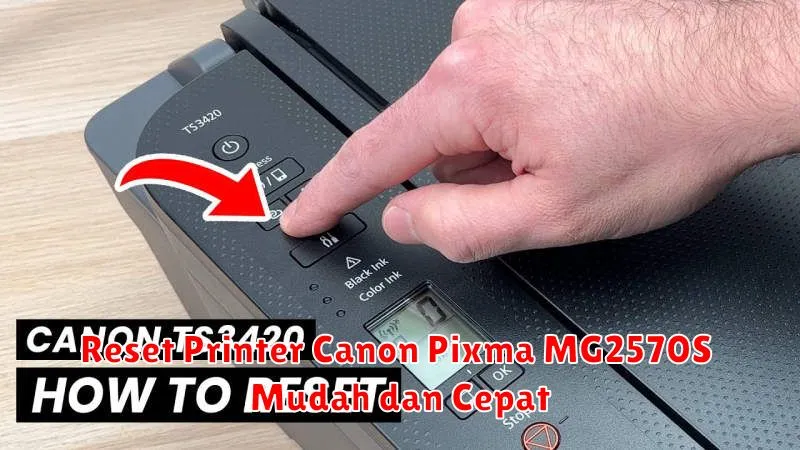 Reset Printer Canon Pixma MG2570S Mudah dan Cepat