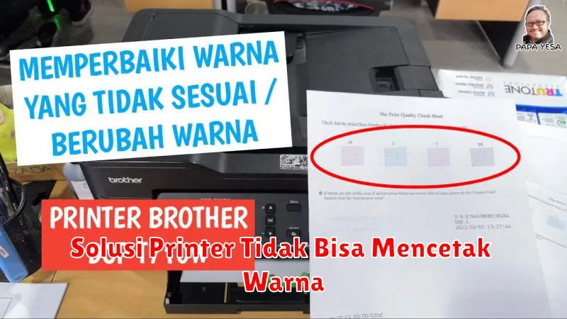 Solusi Printer Tidak Bisa Mencetak Warna
