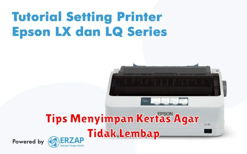 Tips Menyimpan Kertas Agar Tidak Lembap